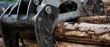 Schotter-Teufel Brennholz